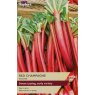 RHUBARB 'Red Champagne'
