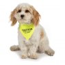 ANCOL Warning Bandana Yellow S/M 20cm