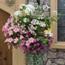 Hanging Basket 'Bridal Bouquet'   30cm