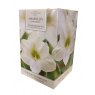 TAYLORS Amaryllis 'Snow Queen' Pot & Bulb Fibre