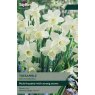 TAYLORS Narcissus Tresamble