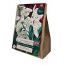 TAYLORS Snowdrops Double Value Pack