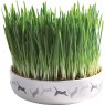 TRIXIE Bowl for cat grass, ceramic ø 15 × 4 cm, 50 g