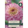 TAYLORS Dahlia Lucca Johanna