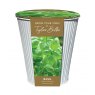 TAYLORS Indoor Basil Zinc Planter