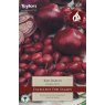 ONION 'Red Baron'