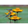 MC Cast Iron Daffodil Feeder-2