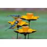 MC Cast Iron Daffodil Feeder-2