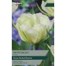 TAYLORS Tulip White Valley