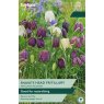 TAYLORS Fritillaria Meleagris Mixed