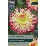 TAYLORS Dahlia Caproz Josephine