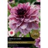 TAYLORS Dahlia Creme De Cassis - Special Edition