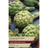 GLOBE ARTICHOKE
