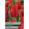 TAYLORS Tulip Pretty Woman