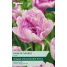 TAYLORS Tulip Shirley Double