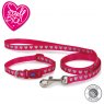 ANCOL Small Bite Reflective Collar Lead Set Heart