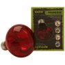 KOMODO Infrared Spot Bulb ES 100W