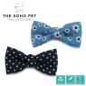 Daisy/Polka Patterned Bow Tie