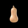 Squash 'Butternut 'Hunter'   9cm