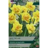 TAYLORS Narcissus Jack The Lad