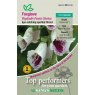 Foxglove Pams Choice