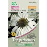 Echinacea White Swan Prima Donna