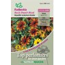 Rudbeckia Rustic Dwarf Mixed