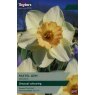 TAYLORS Narcissus Pastel Gem