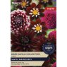 TAYLORS Dark Dahlia Collection