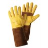 4540005 - Ultimate Golden Leather Gauntlets - Cut out