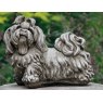 DRAGONSTONE Shih-Tzu
