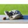 DRAGONSTONE Small Turtle
