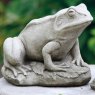 DRAGONSTONE Frog