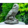 DRAGONSTONE Owl