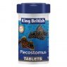 King British KING BRITISH Plecostomus Food Tablets   50g