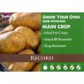 SEED POTATO - MAIN CROP 'Record'   2kg