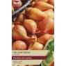 SHALLOT 'Yellow Moon'