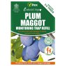 VITAX Plum Maggot Trap refill   (1) VITAX Plum Maggot Trap refill   (1)
