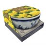 TAYLORS Delft Bowl Narcissus Tete A Tete