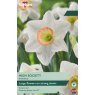 TAYLORS Narcissus High Society