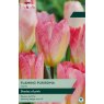 TAYLORS Tulip Flaming Purissima