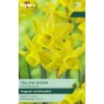 TAYLORS Narcissus Yellow Ocean