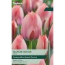 TAYLORS Tulip Salmon Van Eijk