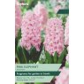 TAYLORS Hyacinth Pink Elephant