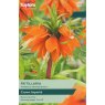 TAYLORS Fritillaria Imperialis Orange Beauty