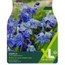 TAYLORS Scilla Siberica