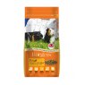 BURGESS Excel Guinea Pig Nuggets with Mint   2Kg BURGESS Excel Guinea Pig Nuggets with Mint   2Kg