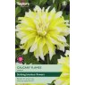TAYLORS Dahlia Calgary Flames