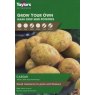 SEED POTATO - Caesar - Taster Pack