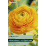 TAYLORS Ranunculus Lemon Zest